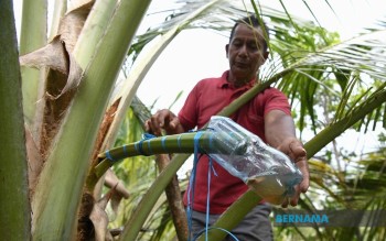 Ramadan: Pengusaha air nira kelapa tak menang tangan penuhi permintaan